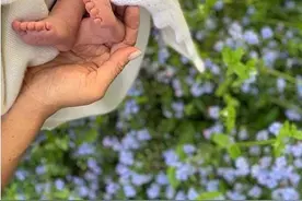 哈里夫妇母亲节晒新生儿小脚丫 照片暗藏玄机(图)图片