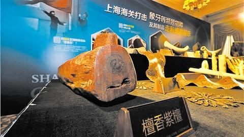 象牙胶花胶 2026年粘象牙胶水十大排行榜