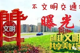 第287期拍客举报的交通违法加塞车辆公布图片