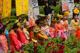 洛阳牡丹文化节：让“惠民之花”越开越艳视频封面