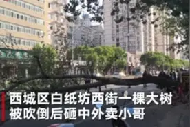 北京8级大风吹倒大树 送餐员被砸身亡视频封面