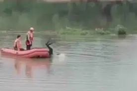 东莞男子在同沙水库钓鱼，为捡落水鱼竿跳入水库，结果消失水面！图片