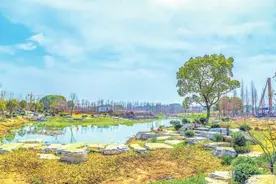 纪南文旅区生态文明建设：擦亮发展底色 绘就生态画卷图片