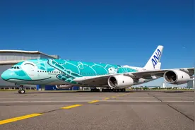 天空飞来巨无霸A380绿海龟，神情悠闲似在海游，呆萌可爱让网友直呼“想撩”图片