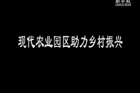 现代农业园区助力乡村振兴视频封面