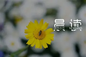 晨读｜活在当下，请珍惜此生图片