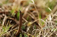 爬上4500米雪山 只为找到你视频封面