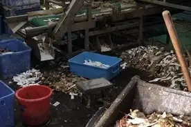 消毒餐具厂调查：车间堆积食物残渣 工人脏手套擦杯盘视频封面