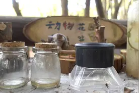 《新华纵横》“小事”彰显“大文明” 旅途中的垃圾分类“新时尚”（半成品）视频封面