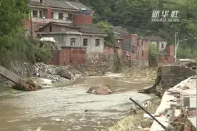 生死营救！面对危险 秦巴山区14名乡村教师选择这样做视频封面