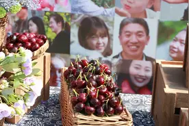 装在套子里的“车厘子”：红了樱桃 富了农户视频封面