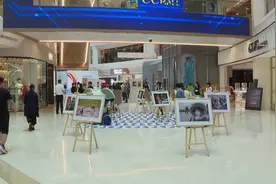 丝路国家青少年国际摄影优秀作品巡展走进新疆视频封面