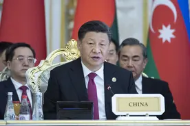 习近平：坚定走和平发展道路，决不损人利己、以邻为壑图片