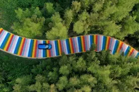 快去打卡！千米“彩虹路”亮相德清莫干山图片