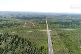 飞阅毛乌素  沙地变绿洲视频封面