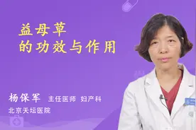 益母草的功效与作用视频封面