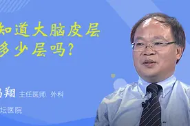 你知道大脑皮层有多少层吗？