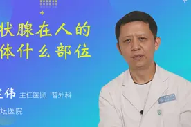 甲状腺在人的身体什么部位视频封面
