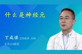 什么是神经元视频封面