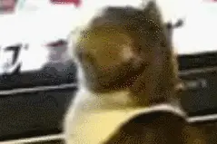 24岁姑娘天天加班到凌晨，突然走路一瘸一拐……这种病一定要警惕图片