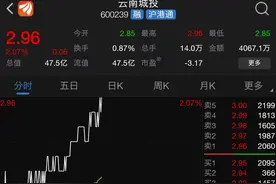 “蛇吞象”收购案失败始末｜云南城投终止收购成都会展 ，“会展大王”邓鸿曾亲自站台视频封面