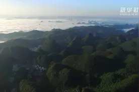 夏日炎炎 看看“地球腰带上的绿宝石”清凉一下！视频封面