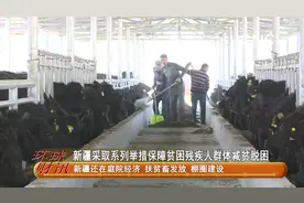 新疆采取系列举措保障贫困残疾人群体减贫脱困视频封面