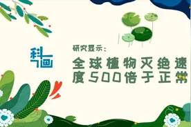 科画｜研究显示：全球植物灭绝速度500倍于正常视频封面