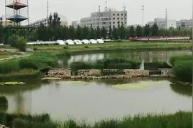 在场｜“严总”是谁？水幕电影事件在查视频封面