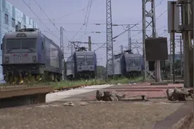 高温下的“火车医生”视频封面