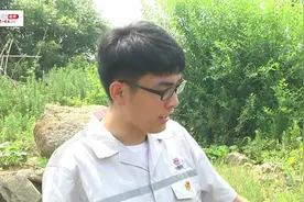 【视频】连云港发现“仙女虾” 年纪和恐龙年差不多大，但比恐龙优雅多了视频封面