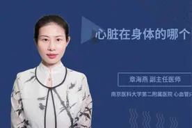 心脏在身体的哪个部位视频封面