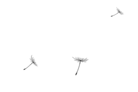 你和你爸实在是太像啦！图片
