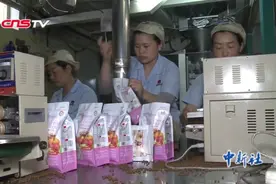 探访“中国宠物食品之乡”：猫粮狗粮做成大产业视频封面