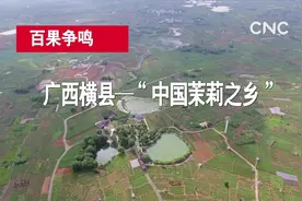 广西横县—“中国茉莉之乡 ”视频封面