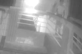 凌晨2点听到诡异敲窗声！女子急忙报警：好像从天上掉下来的……图片
