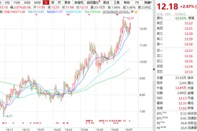 中顺洁柔（002511.SZ）：拟投资40.87亿元建30万吨竹浆纸，押宝生活用纸行业图片