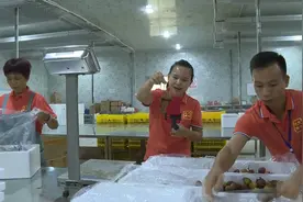 “触电”了！优质电力让网红荔枝“新鲜在线”视频封面