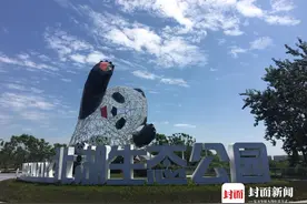 镂空熊猫雕塑都学会了卖萌 你啥时候来“打卡”？成都北湖生态公园建成开放视频封面