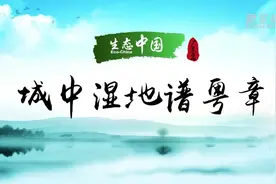 生态中国·城中湿地谱粤章视频封面