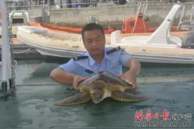 海龟在三亚海滩搁浅命悬一线 边检民警这样做……图片