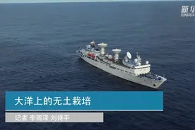长期出海菜不够吃？船员：我们可以种啊！视频封面