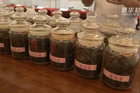 没想到吧 原来茉莉花茶有这么多形态视频封面