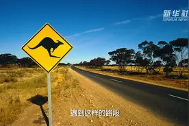 澳大利亚旅行手册：两分钟带你玩转自驾游视频封面
