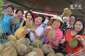 在“猫山王”之都探访榴莲嘉年华视频封面