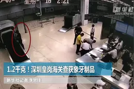 1.2千克！深圳皇岗海关查获象牙制品视频封面