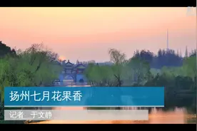 扬州七月花果香视频封面