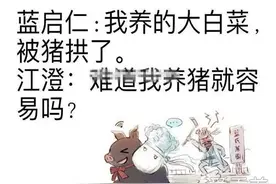 陈情令猪和大白菜什么梗什么意思 蓝家一共几颗白菜被拱了？图片
