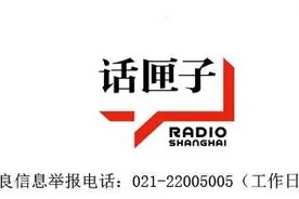 「听」浦东大道终于通车！它到底难在哪里？图片