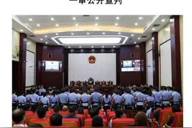 河北“爱心妈妈”李丽娟一审获刑20年，被罚267万元图片